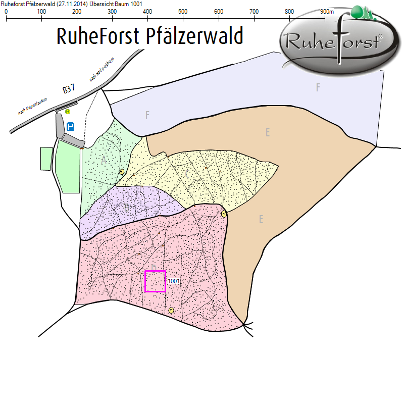 Übersichtskarte zu Baum 1001