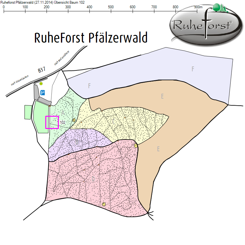 Übersichtskarte zu Baum 102