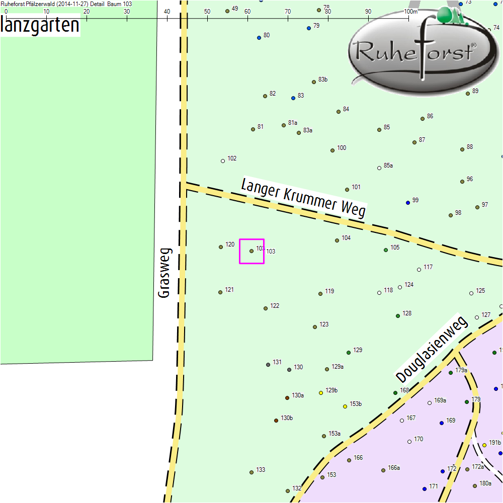 Detailkarte zu Baum 103