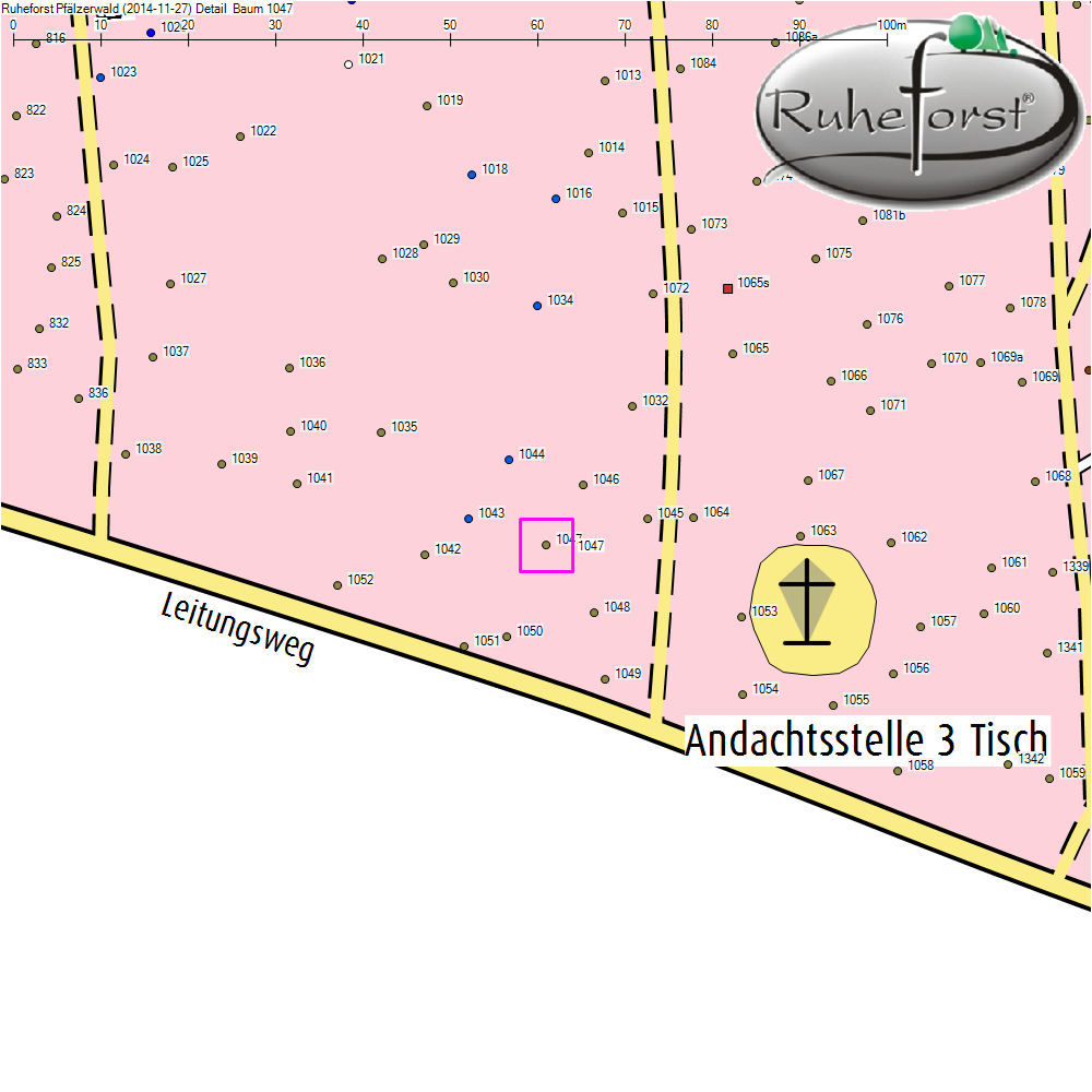 Detailkarte zu Baum 1047