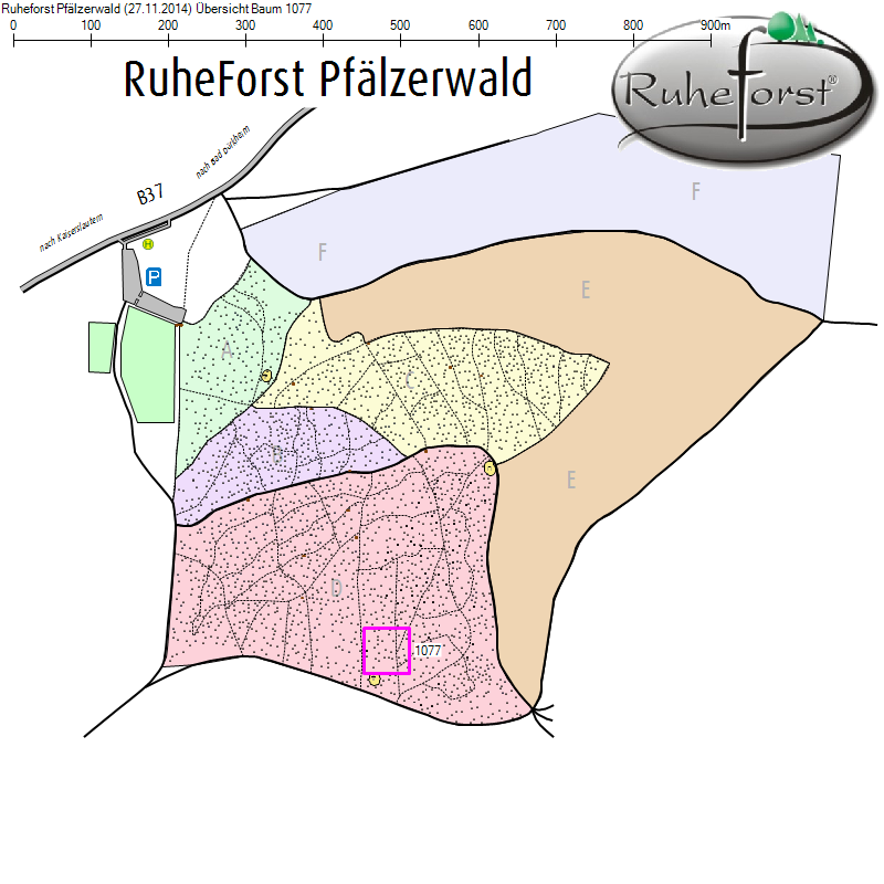 Übersichtskarte zu Baum 1077