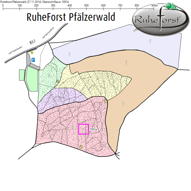 Übersichtskarte zu Baum 1097a