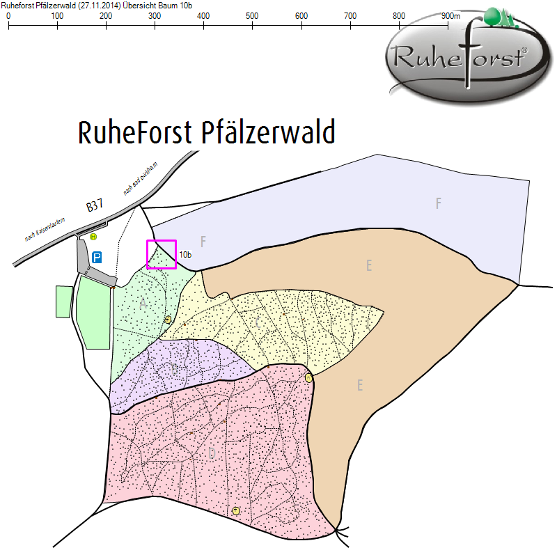 Übersichtskarte zu Baum 10b