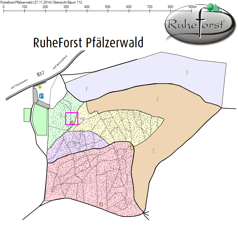 Übersichtskarte zu Baum 112