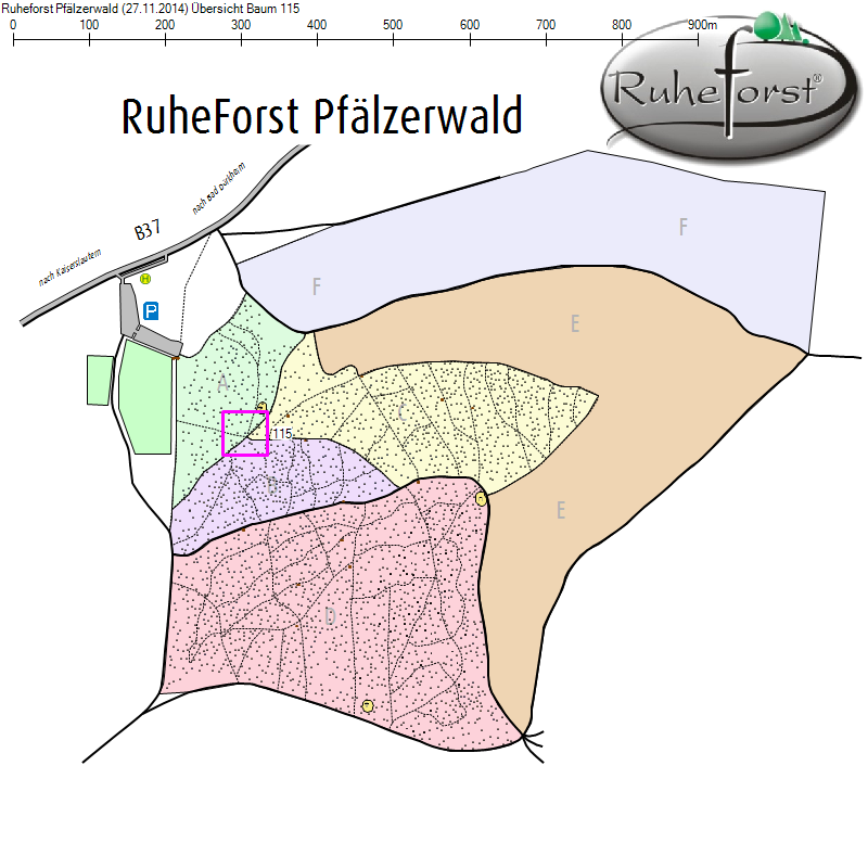 Übersichtskarte zu Baum 115