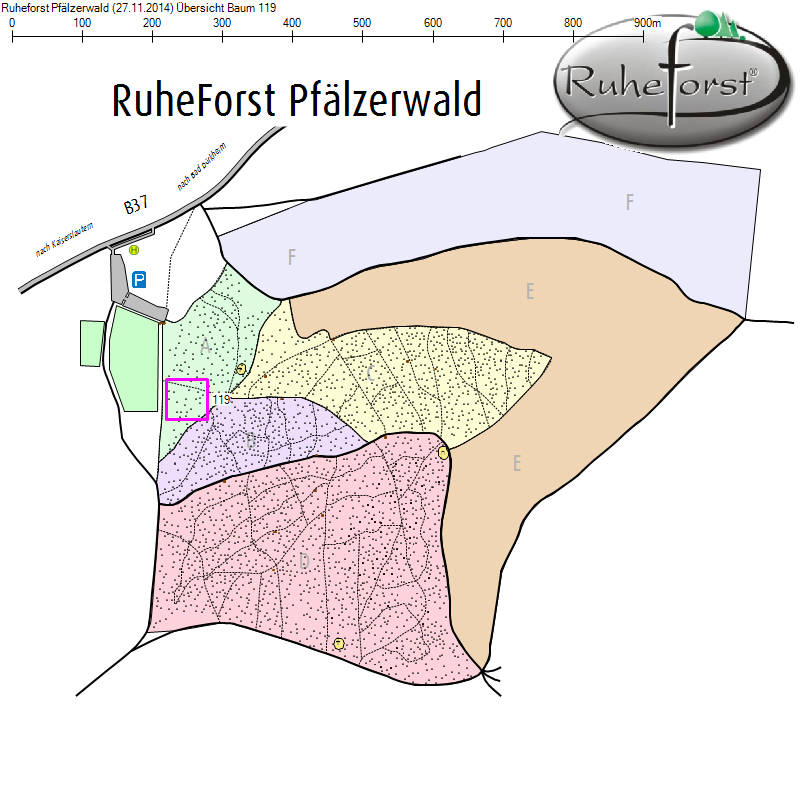 Übersichtskarte zu Baum 119