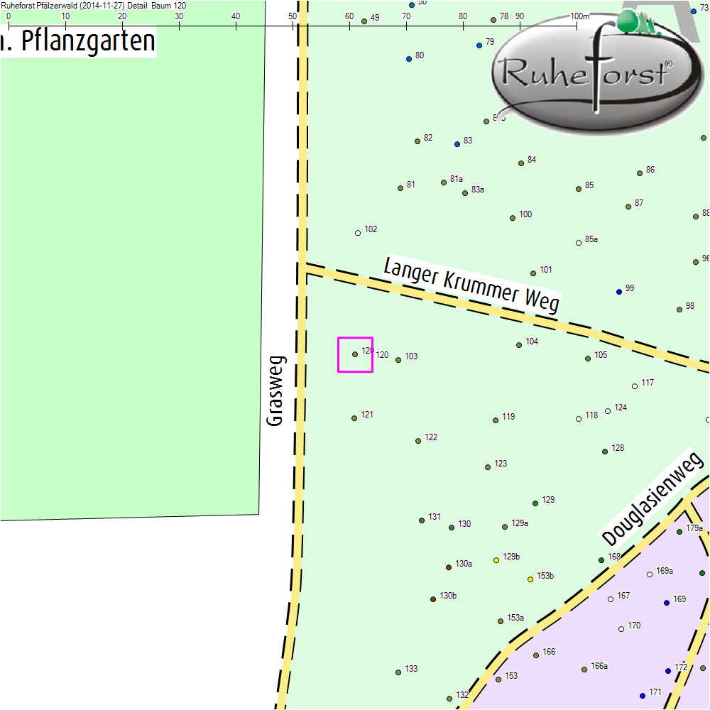 Detailkarte zu Baum 120