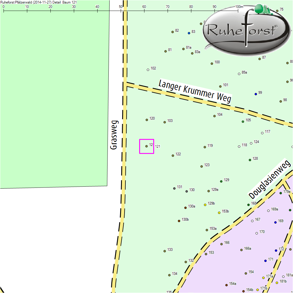 Detailkarte zu Baum 121