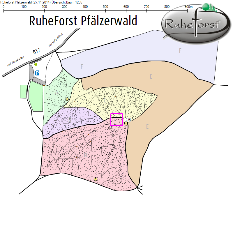 Übersichtskarte zu Baum 1235