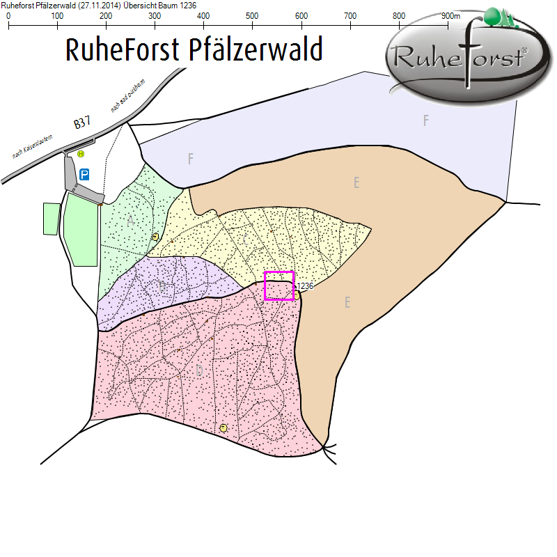 Übersichtskarte zu Baum 1236