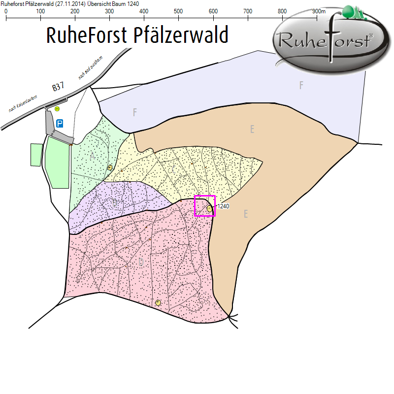 Übersichtskarte zu Baum 1240