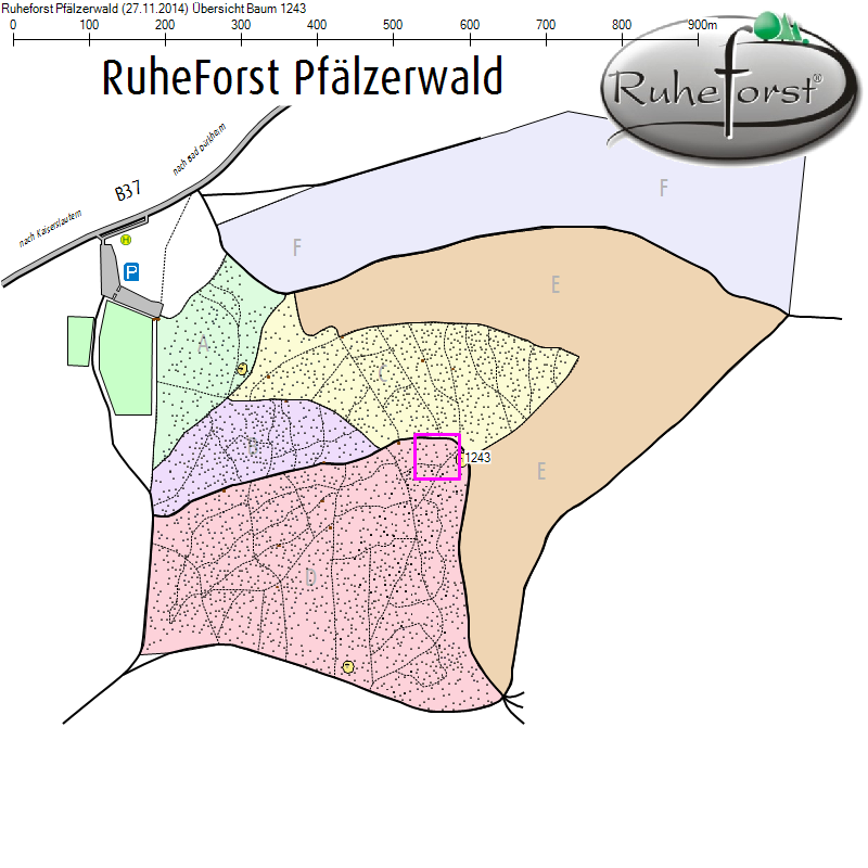 Übersichtskarte zu Baum 1243