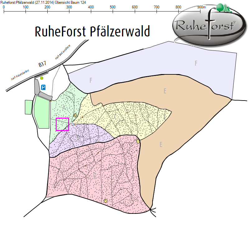 Übersichtskarte zu Baum 124