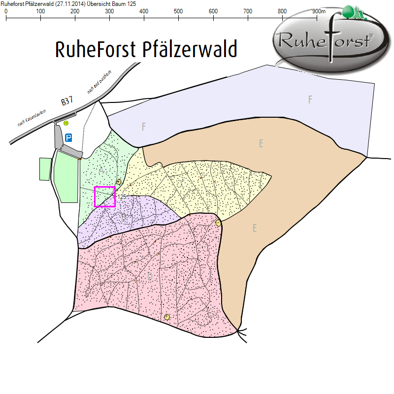 Übersichtskarte zu Baum 125