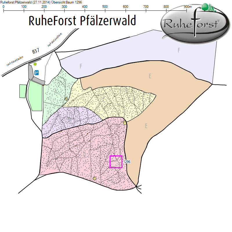 Übersichtskarte zu Baum 1296