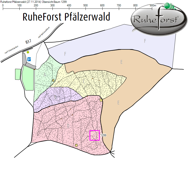 Übersichtskarte zu Baum 1299