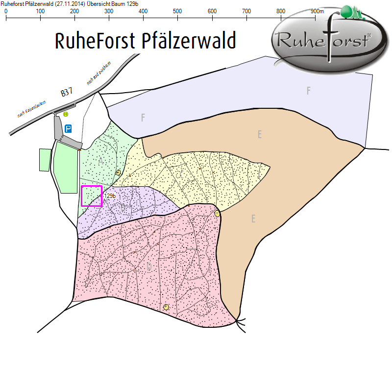 Übersichtskarte zu Baum 129b