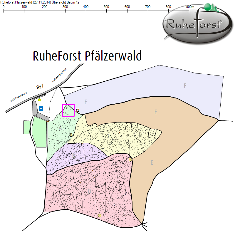 Übersichtskarte zu Baum 12