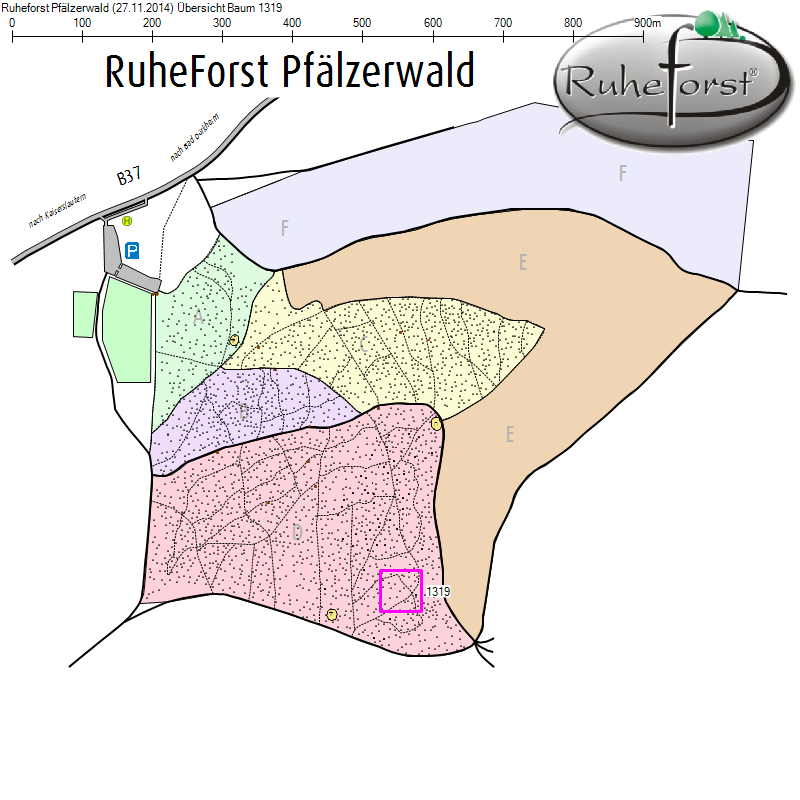 Übersichtskarte zu Baum 1319