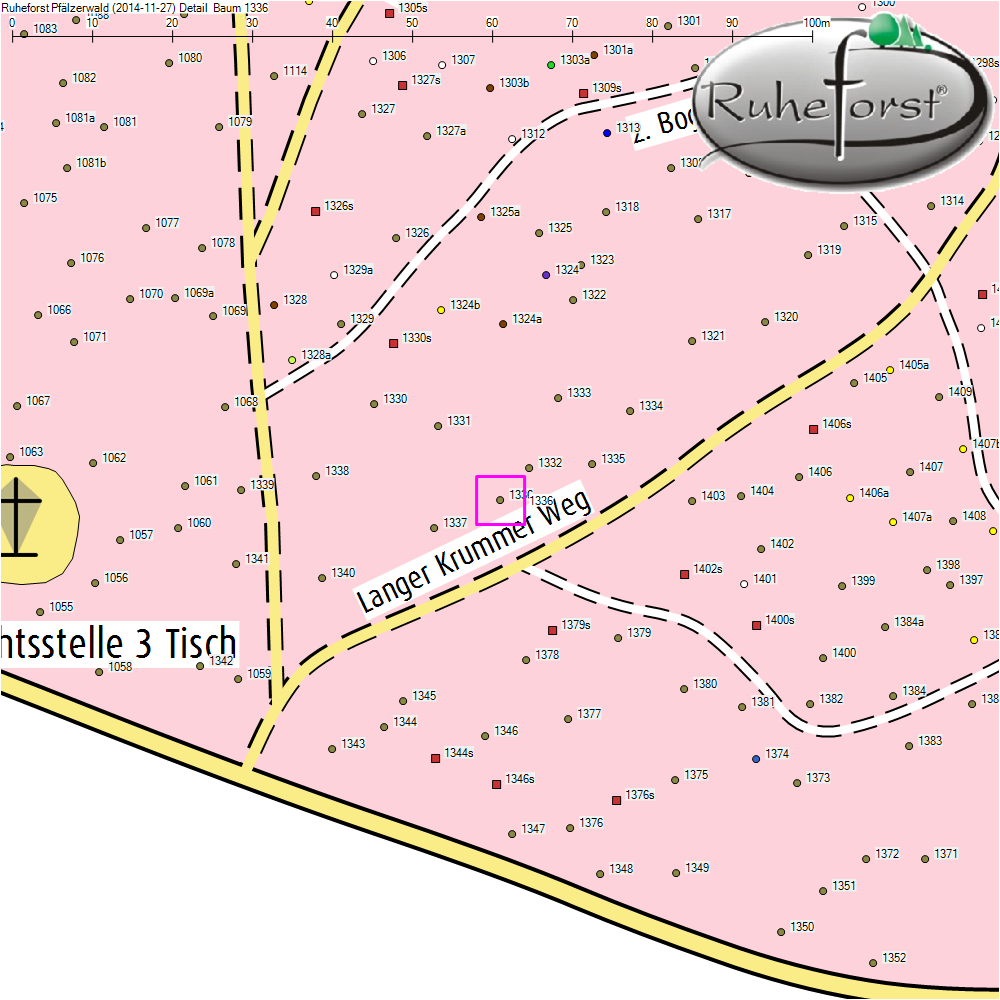 Detailkarte zu Baum 1336