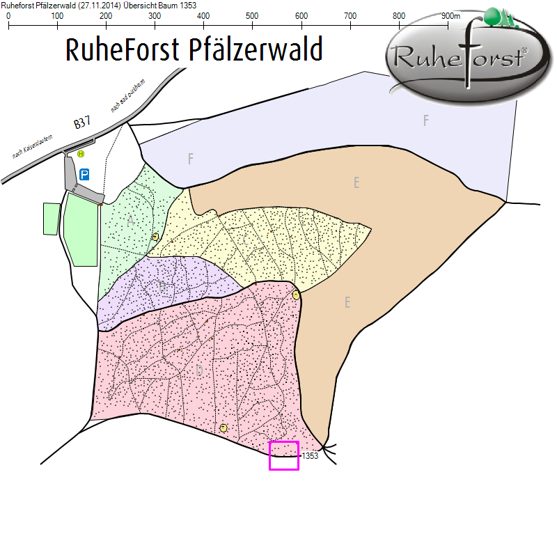 Übersichtskarte zu Baum 1353