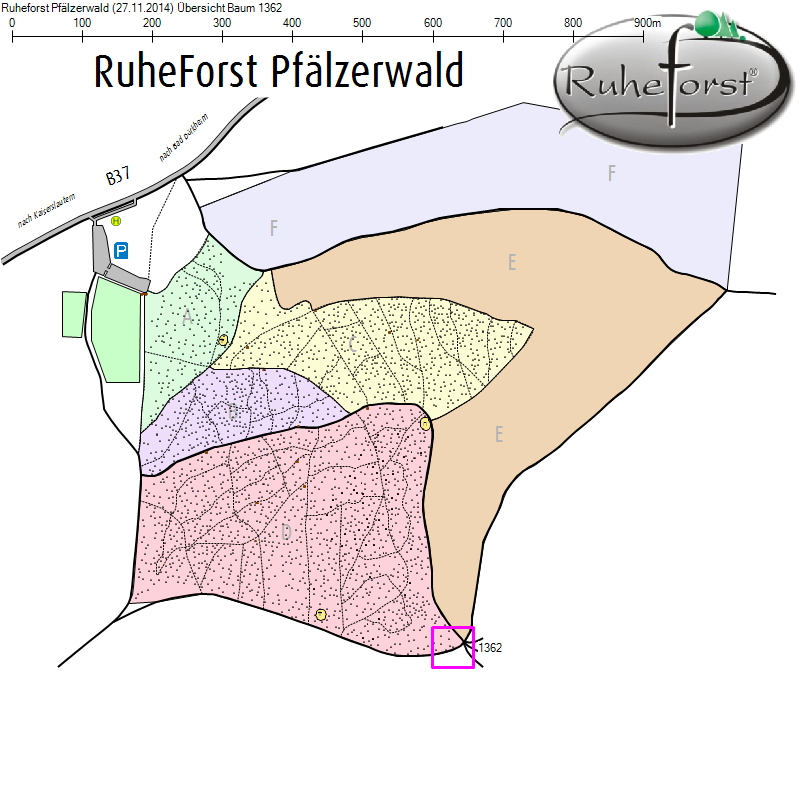 Übersichtskarte zu Baum 1362