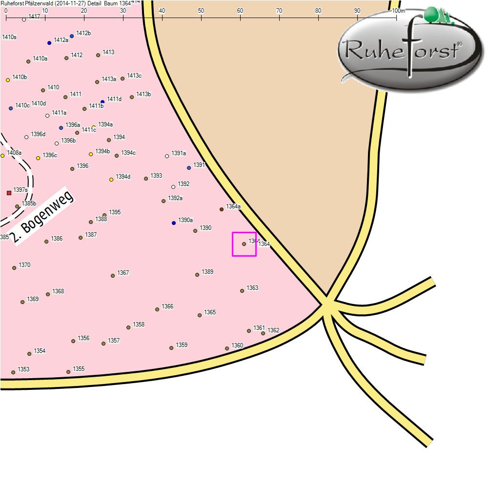 Detailkarte zu Baum 1364