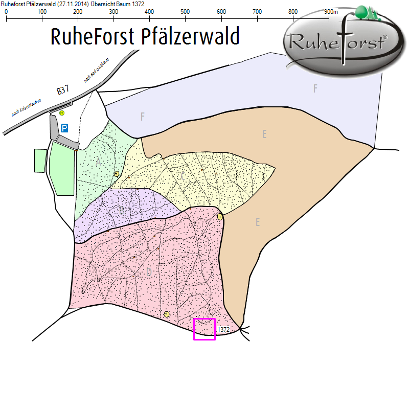 Übersichtskarte zu Baum 1372