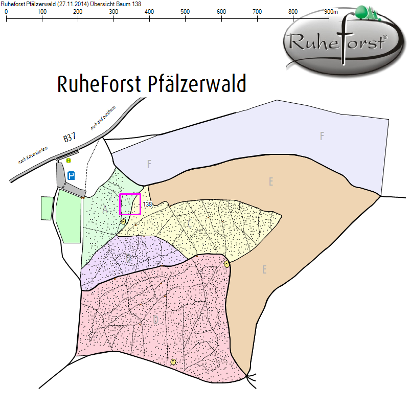 Übersichtskarte zu Baum 138