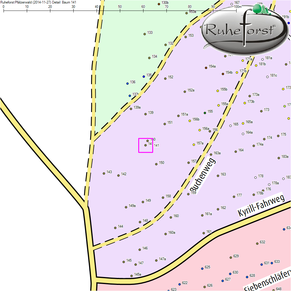Detailkarte zu Baum 141