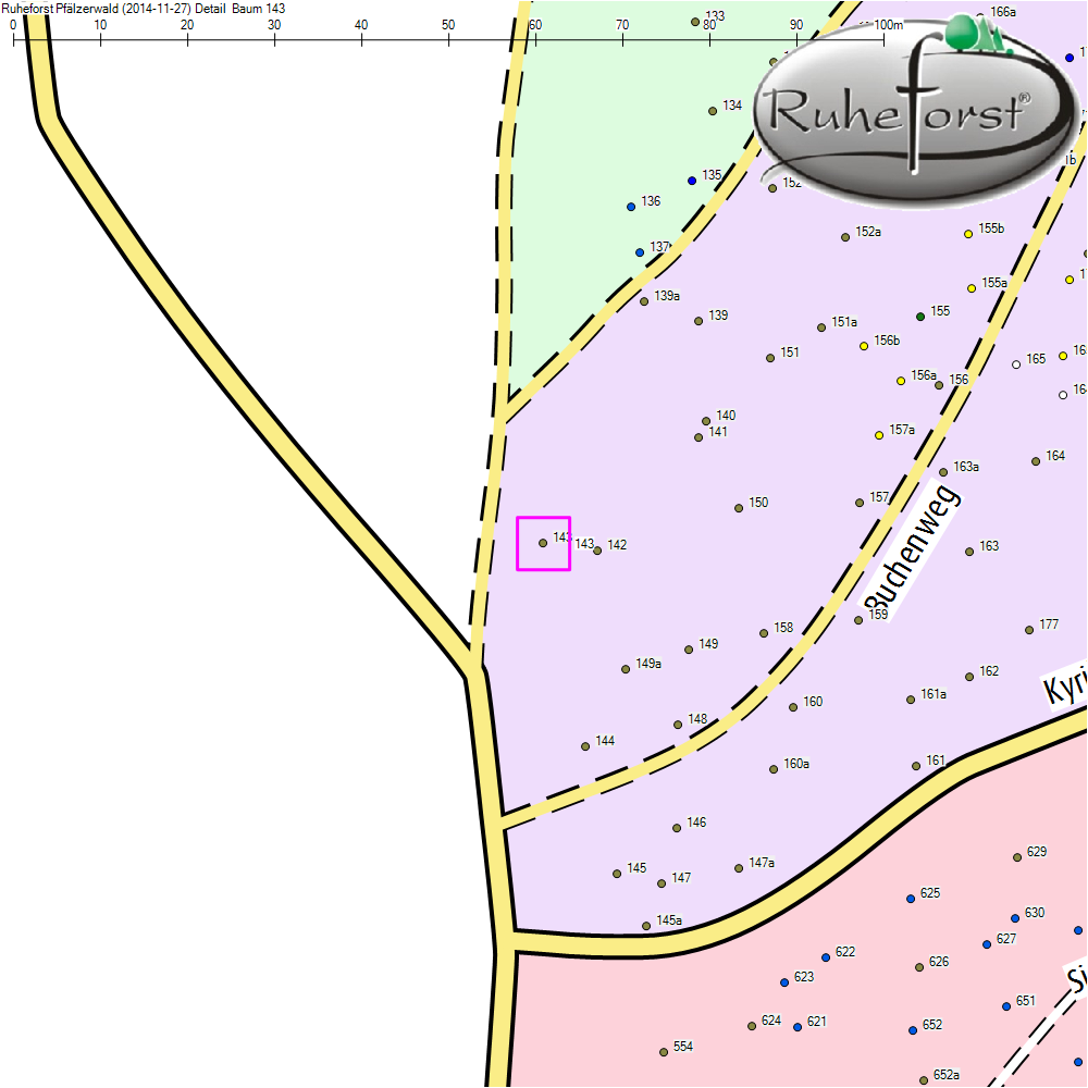 Detailkarte zu Baum 143