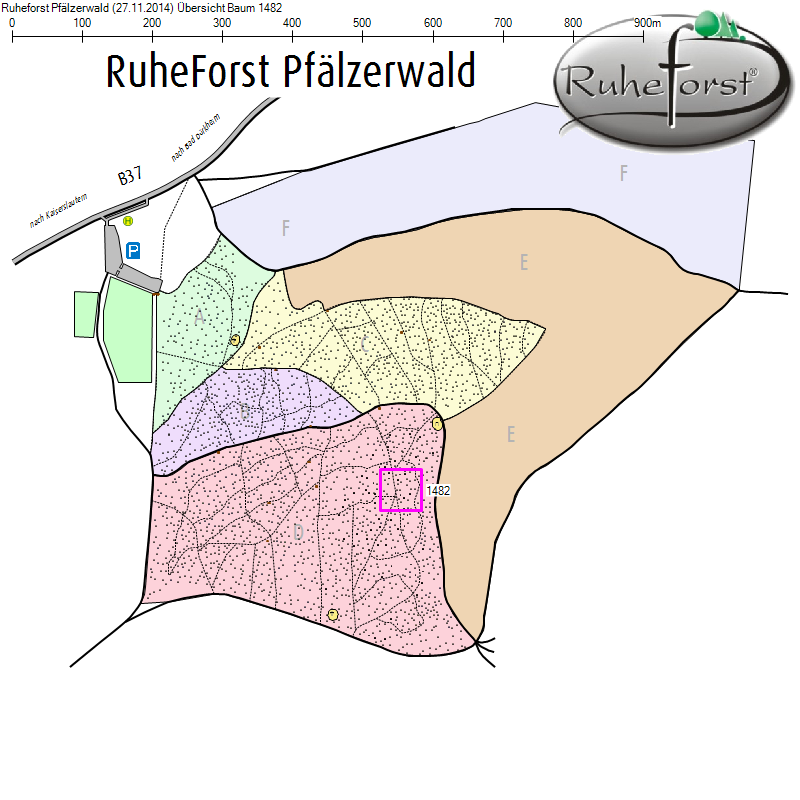 Übersichtskarte zu Baum 1482