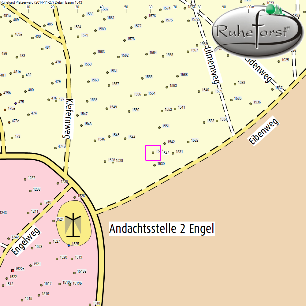 Detailkarte zu Baum 1543