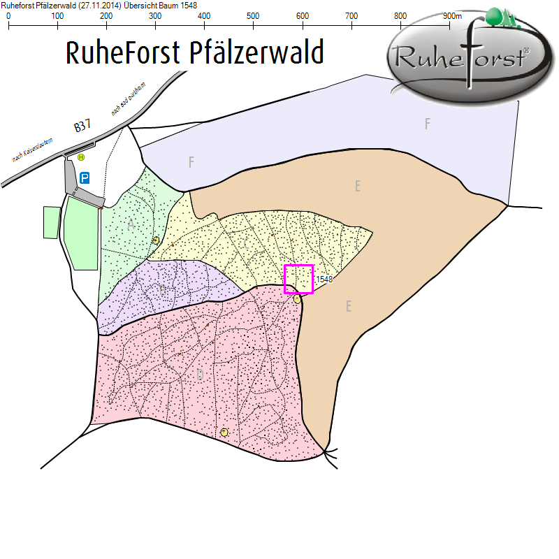 Übersichtskarte zu Baum 1548