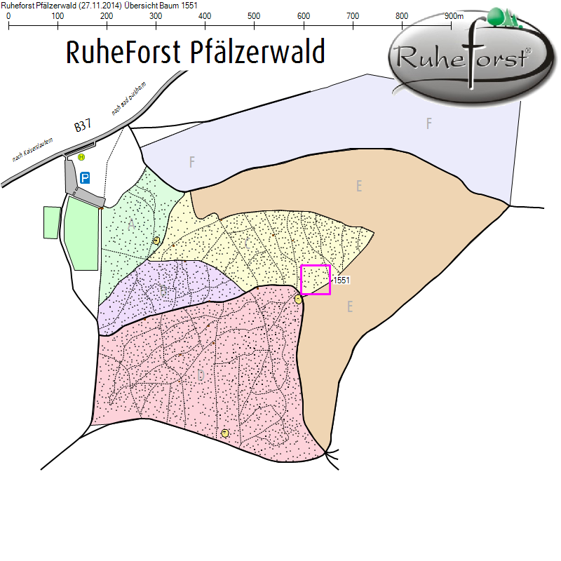 Übersichtskarte zu Baum 1551
