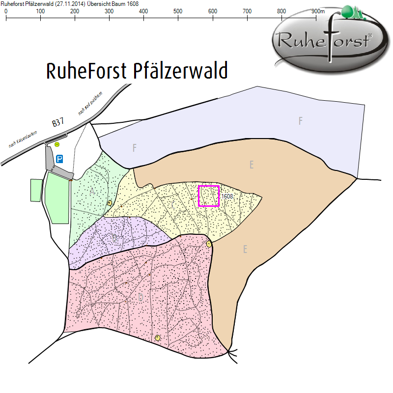 Übersichtskarte zu Baum 1608