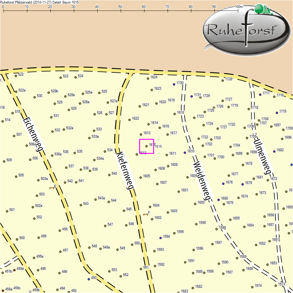 Detailkarte zu Baum 1615