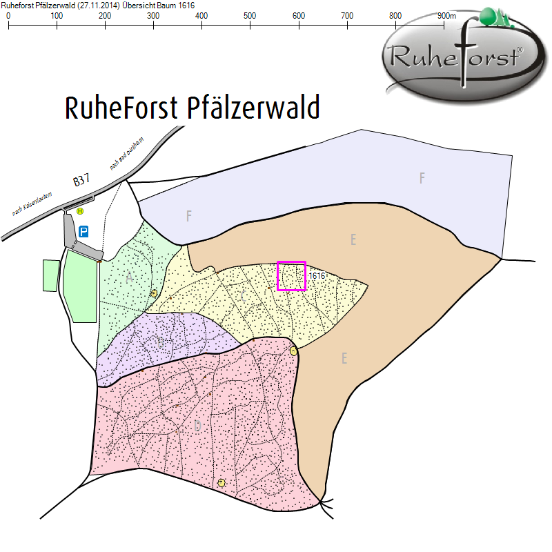 Übersichtskarte zu Baum 1616