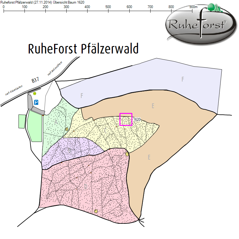 Übersichtskarte zu Baum 1620