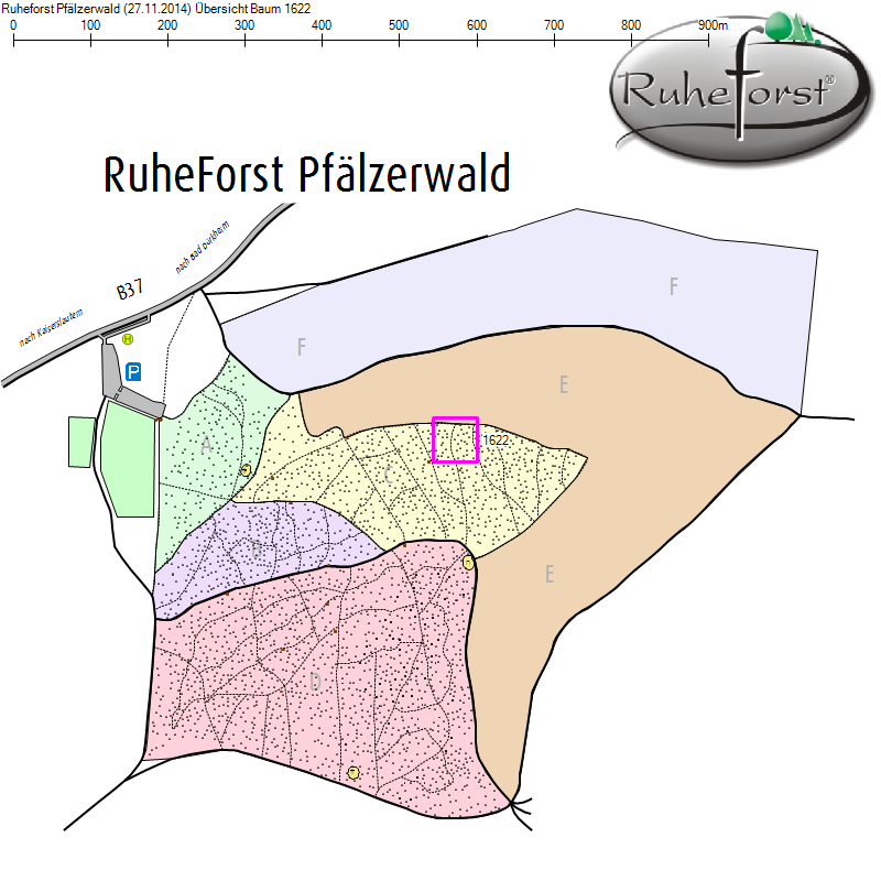 Übersichtskarte zu Baum 1622