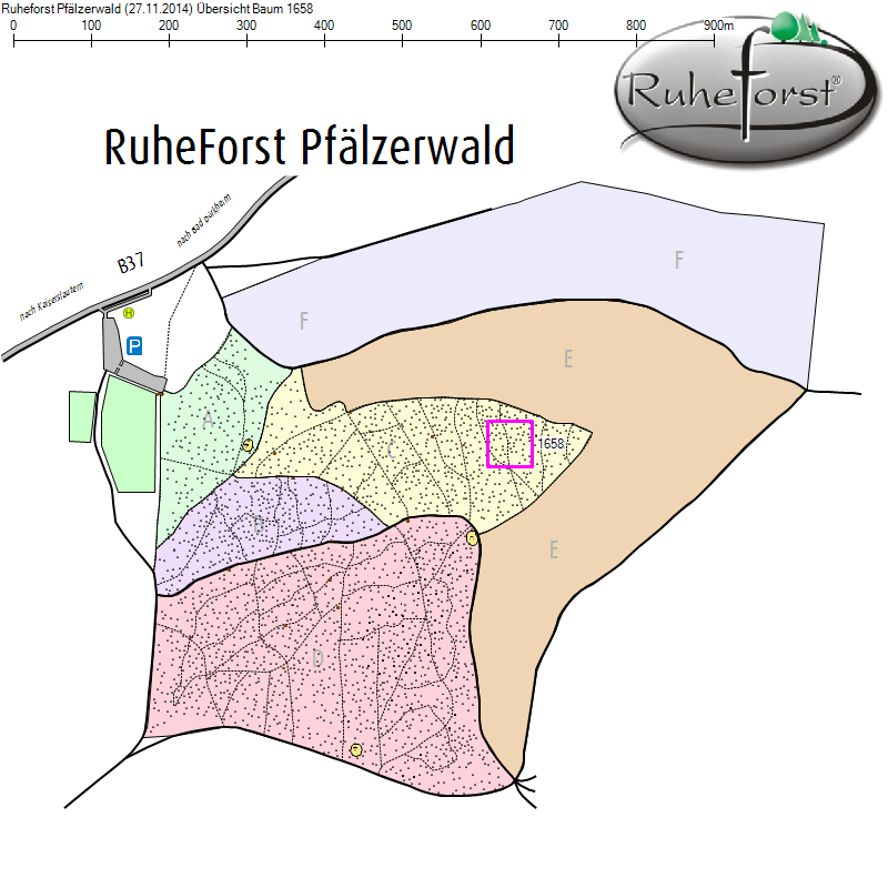 Übersichtskarte zu Baum 1658