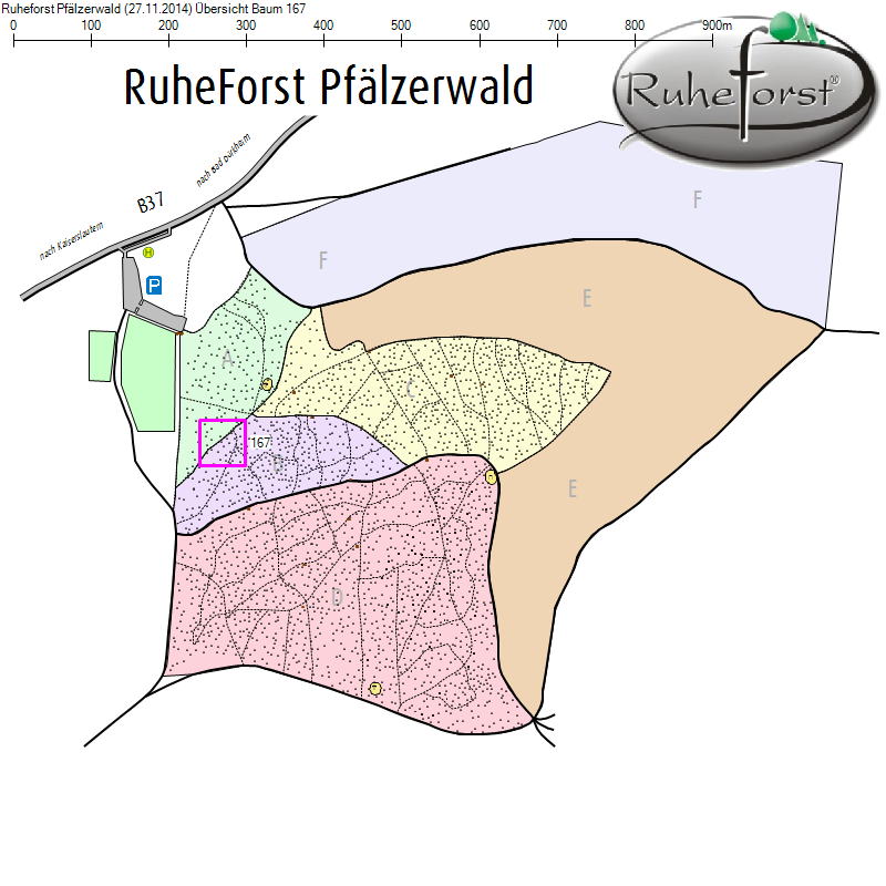 Übersichtskarte zu Baum 167