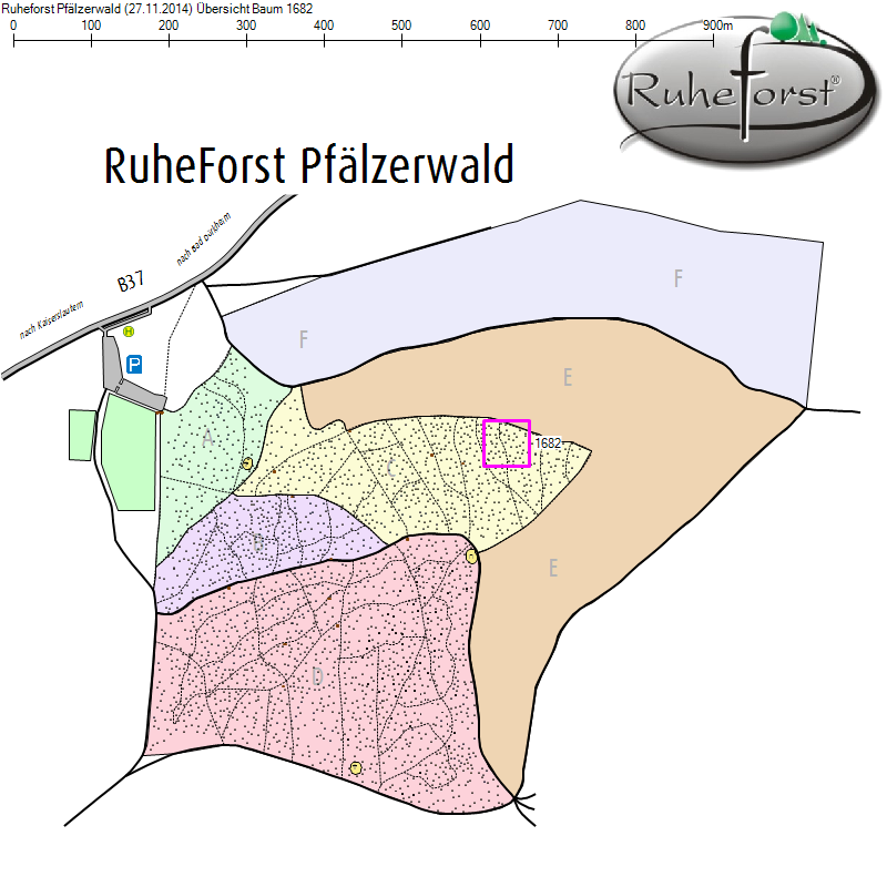 Übersichtskarte zu Baum 1682