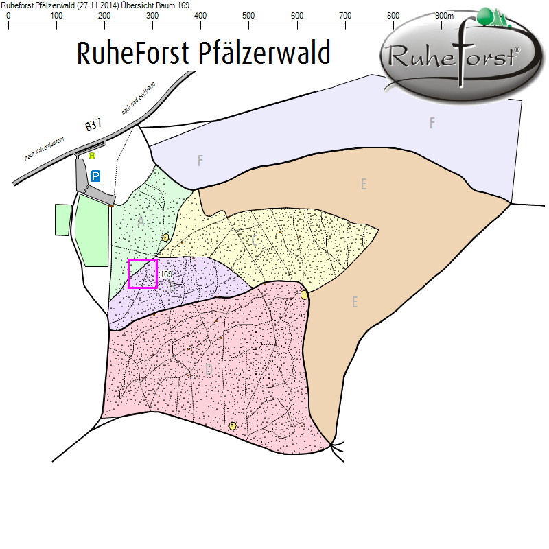 Übersichtskarte zu Baum 169