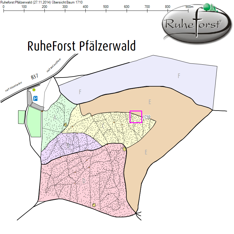 Übersichtskarte zu Baum 1710