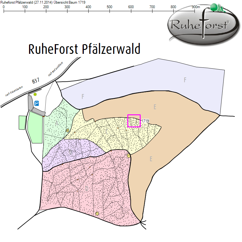 Übersichtskarte zu Baum 1719