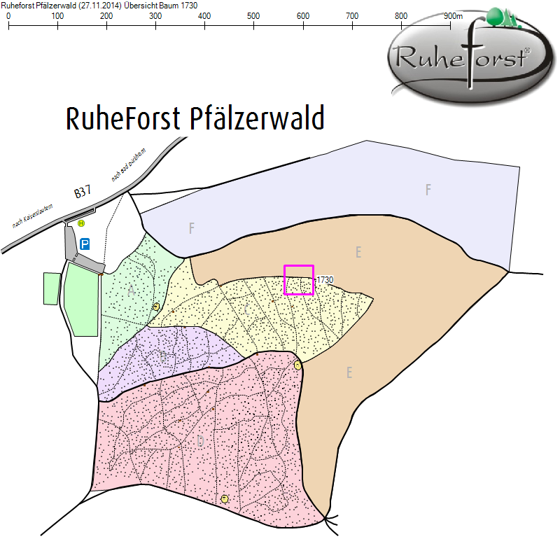 Übersichtskarte zu Baum 1730