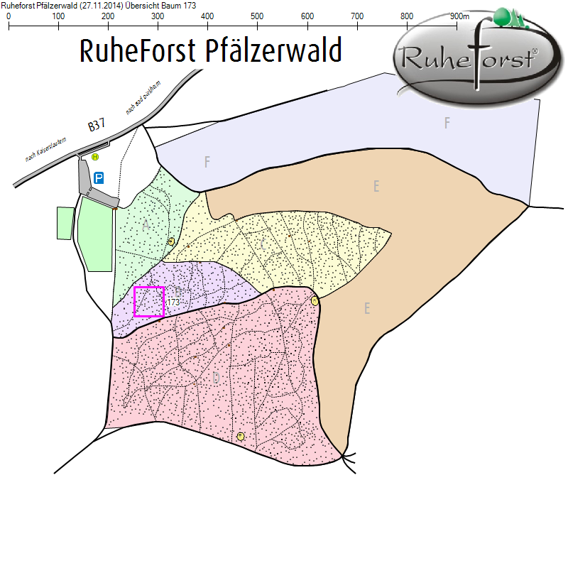 Übersichtskarte zu Baum 173