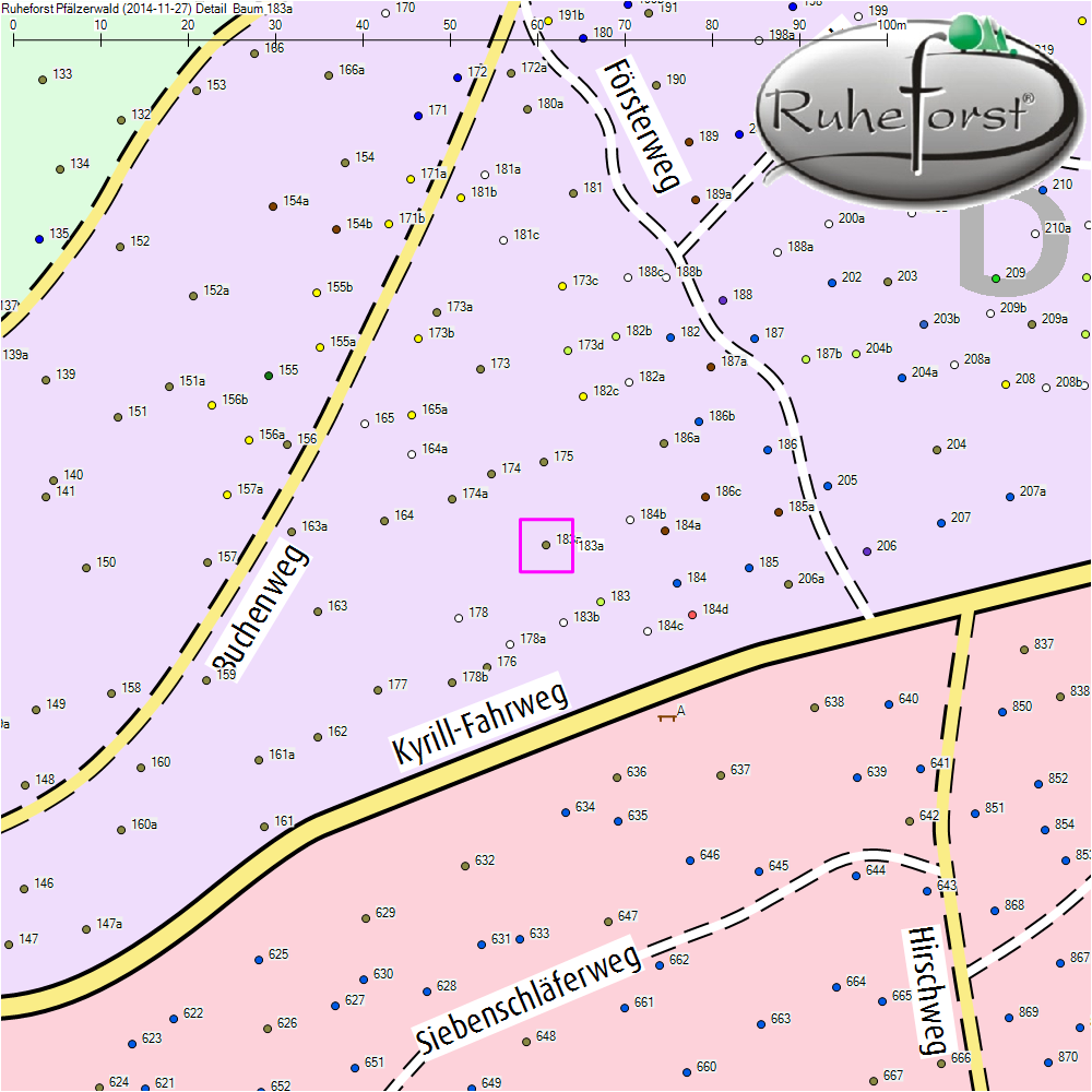 Detailkarte zu Baum 183a