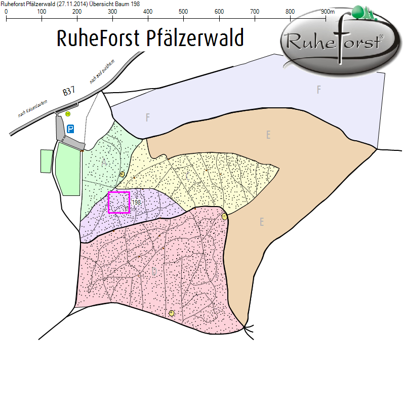 Übersichtskarte zu Baum 198